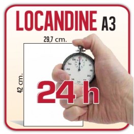 100 Locandine A3 - 42x29,7 cm